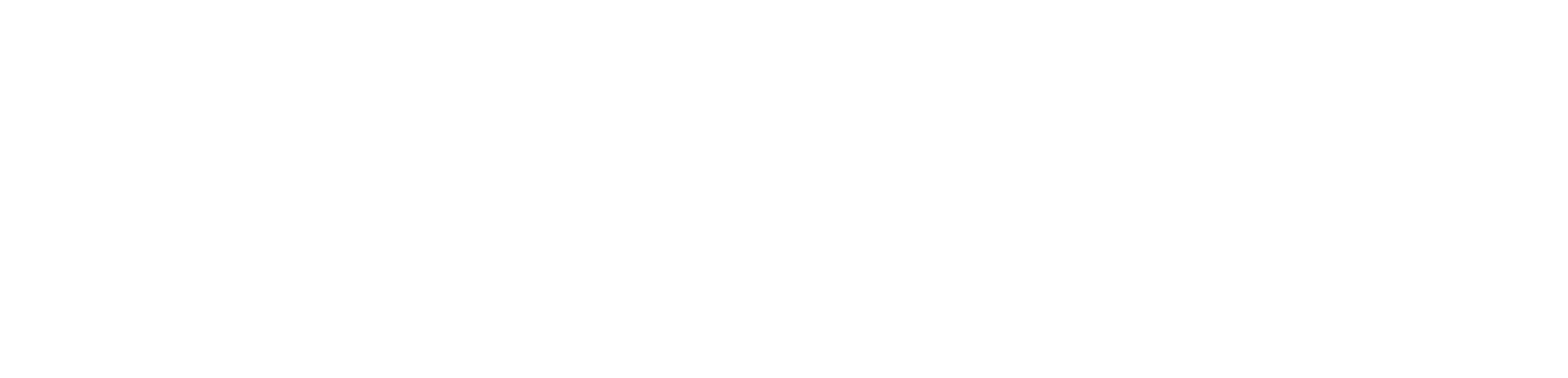 Portal Wings